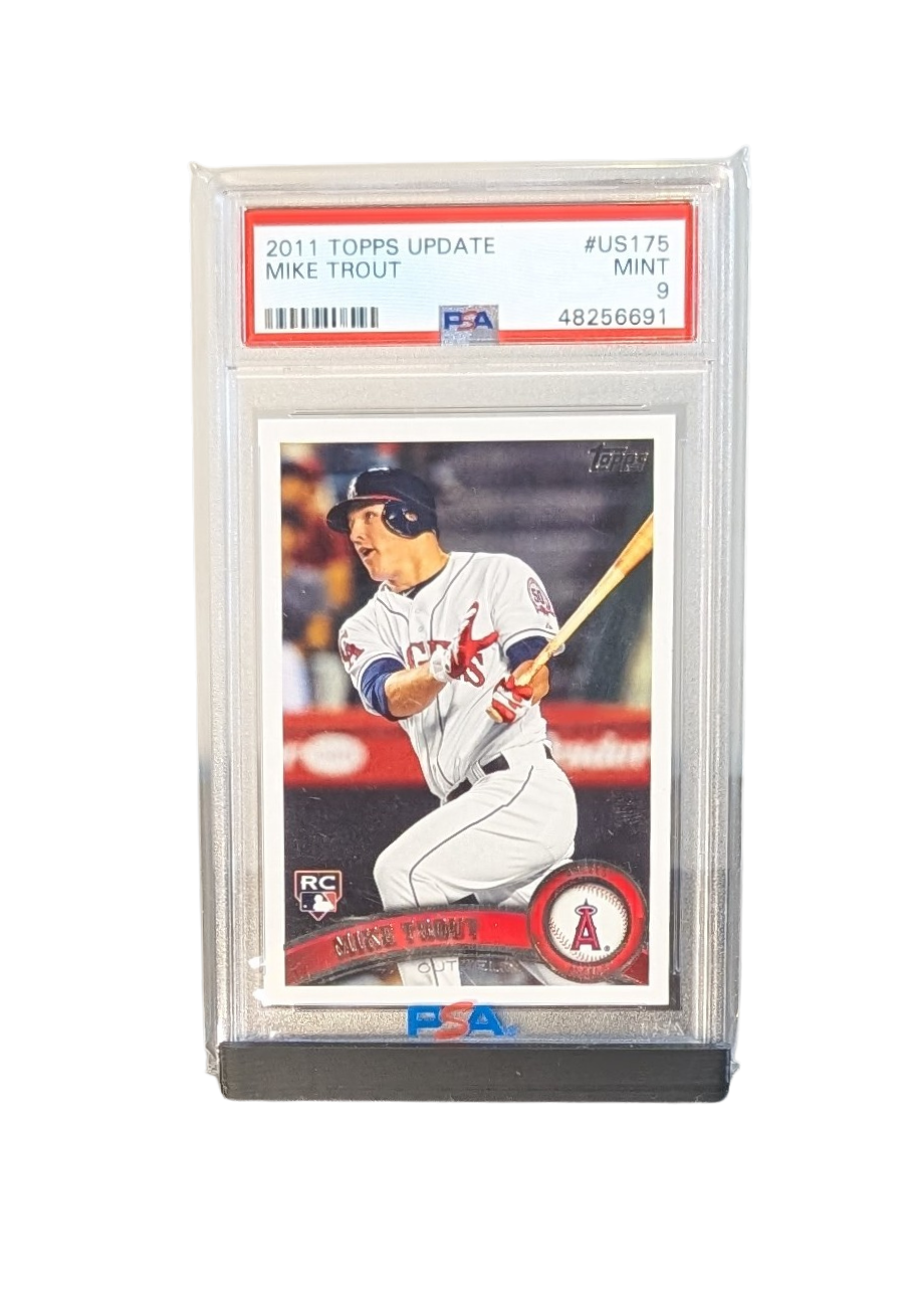 Solo Graded Pro Stand