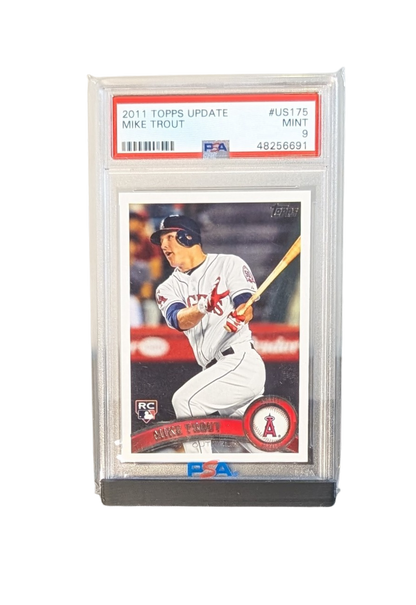 Solo Graded Pro Stand