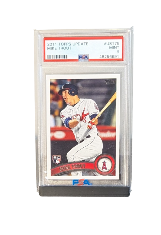 Solo Graded Pro Stand